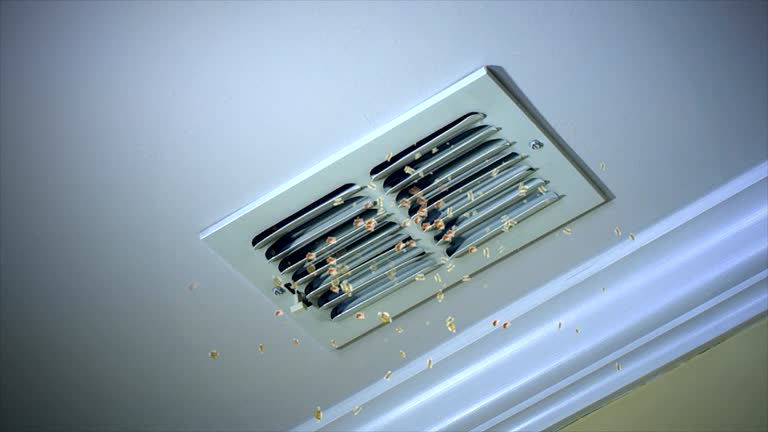 Home Air Vent Cleaning in NE