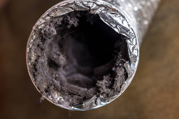 Best Air Vent Cleaning Services  in Syracuse, NE