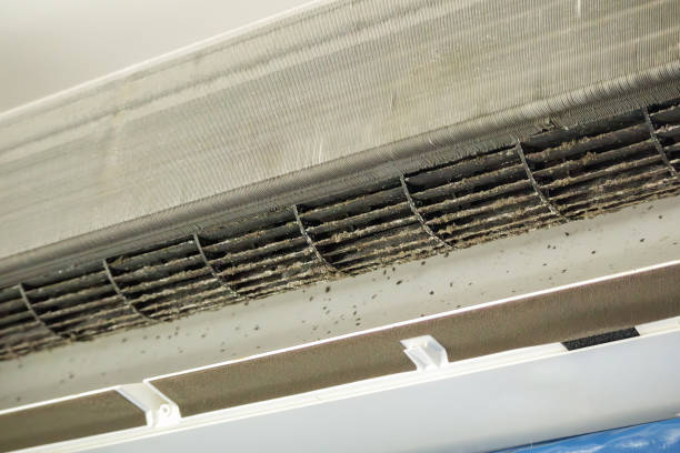 Best Affordable HVAC Duct Cleaning  in Syracuse, NE
